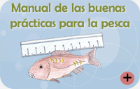 Manual de las buenas practicas para la pesca