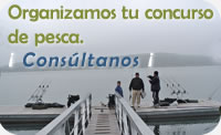 concurso de pesca